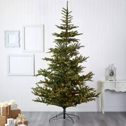 Christmas Trees><noscript><img width=