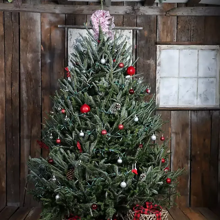 Christmas Trees>Kirklands Home 6 ft. Fresh Cut Fraser Fir Christmas Tree