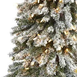 Christmas Trees><noscript><img width=
