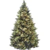 Christmas Trees>Kirklands Home 9 ft. Pre-Lit Flocked Carolina Pine Christmas Tree