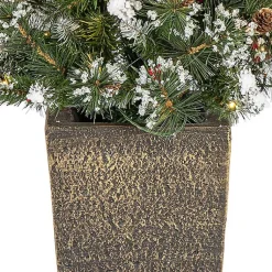 Christmas Trees><noscript><img width=