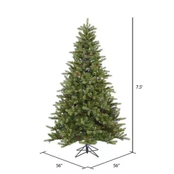 Christmas Trees><noscript><img width=