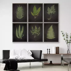 Kirklands Home Black Fern II Framed Art Print Online