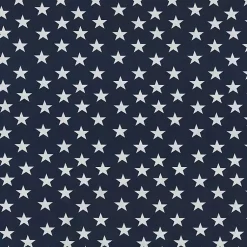 Kirklands Home Blue & White Stars Outdoor Pillows, Set of 2 Outlet