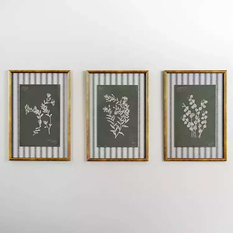 Kirklands Home Botanical Stripes II Framed Art Print Online