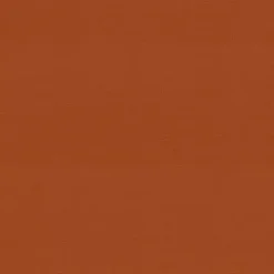 Kirklands Home Burnt Outdoor Chair Cushion Orange