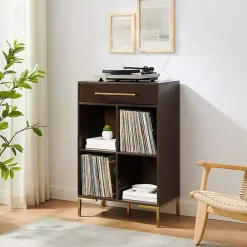 Kirklands Home Cadence Gold Record Storage Bookcase New