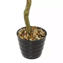 Trees & Topiaries><noscript><img width=