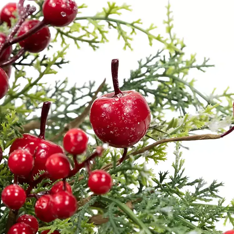 Christmas Wreaths>Kirklands Home Frosted Berry and Crabapple Cedar and Pine Wreath