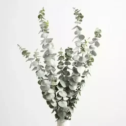 Stems & Bouquets>Kirklands Home Frosted Eucalyptus Stems, Set of 2 Green
