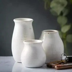 Vases><noscript><img width=