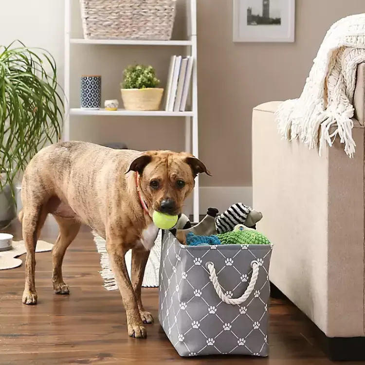 Baskets & Boxes>Kirklands Home Paw Trellis Rectangle Basket, 16 in. Gray