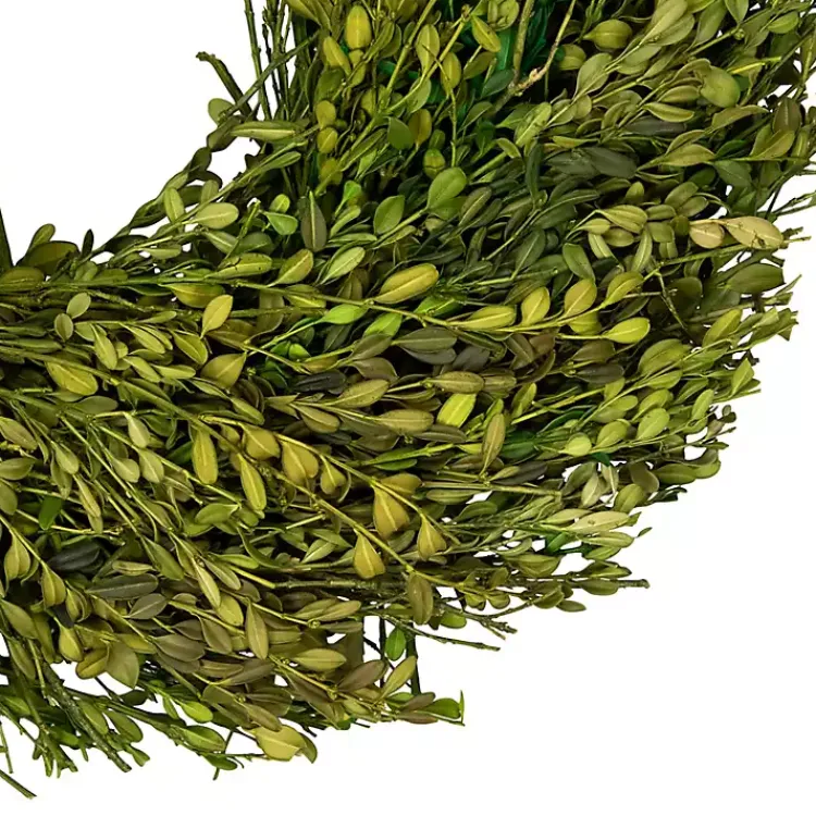 Wreaths>Kirklands Home Foliage Wreath Green