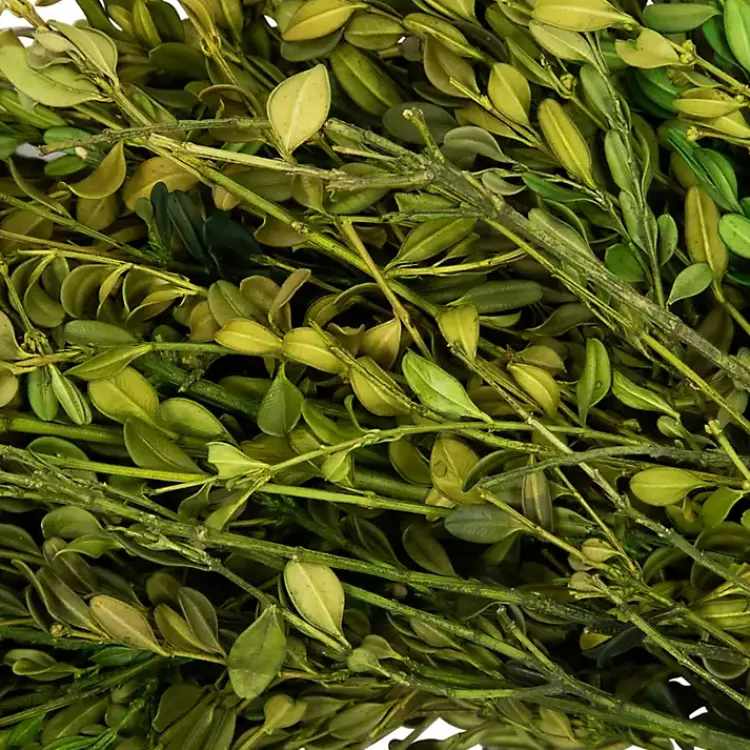 Wreaths>Kirklands Home Foliage Wreath Green