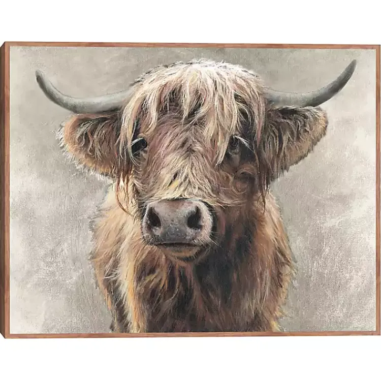 Kirklands Home Highland Portrait Framed Canvas Art Print Brown New