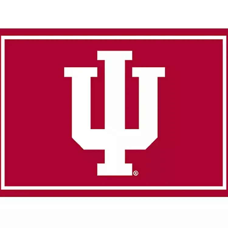 Kirklands Home Indiana University Area Rug, 3x4 Sale