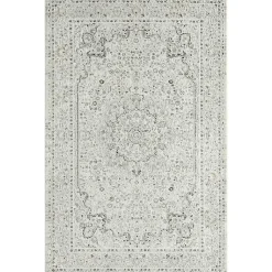 Kirklands Home Isabella Gray and Ivory Area Rug, 4x6 Sale