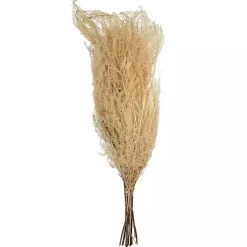 Stems & Bouquets><noscript><img width=