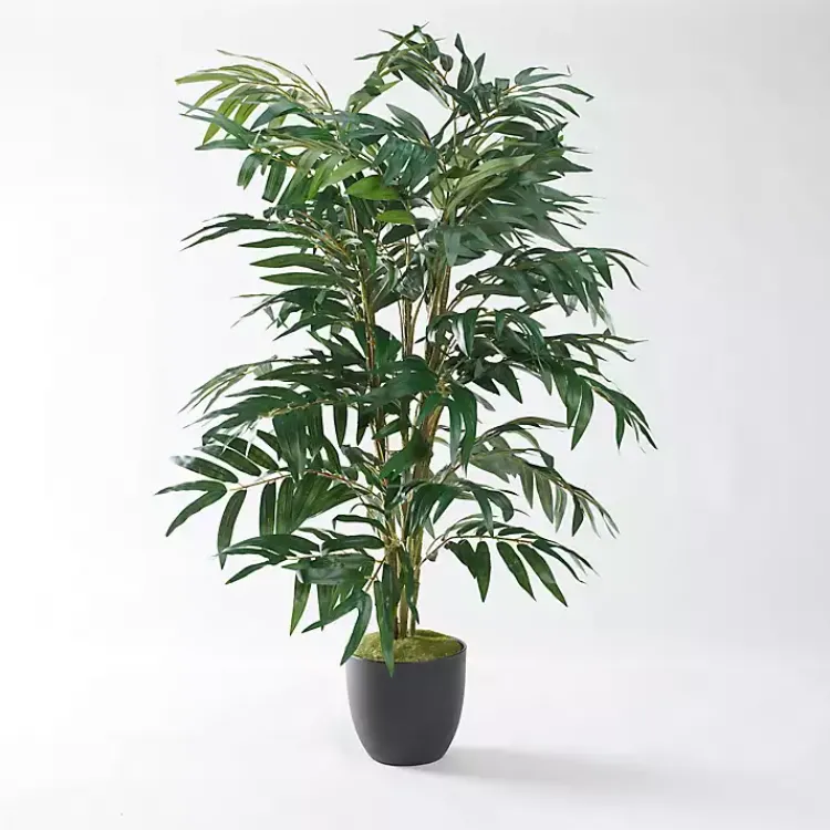 Trees & Topiaries>Kirklands Home Phoenix Palm Tree in Black Nursery Pot