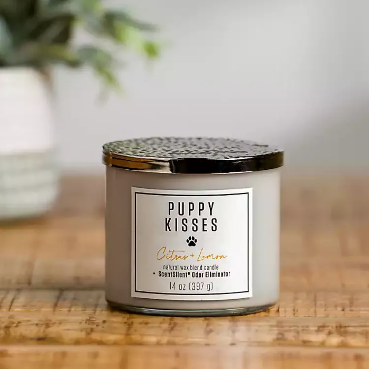 Candles>Kirklands Home Puppy Kisses ScentSilent 3-Wick Jar Candle Gray