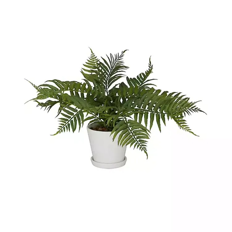 Arrangements & Greenery>Kirklands Home River Rock Fern in Ribbed White Planter