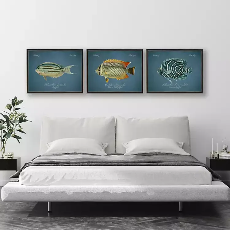 Kirklands Home Semicircle Angelfish Framed Wall Art Blue Hot