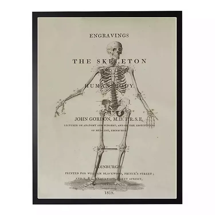 Halloween>Kirklands Home Skeleton Framed Halloween Wall Art