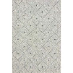 Kirklands Home Solitaire Sun Shower Outdoor Area Rug, 7x9