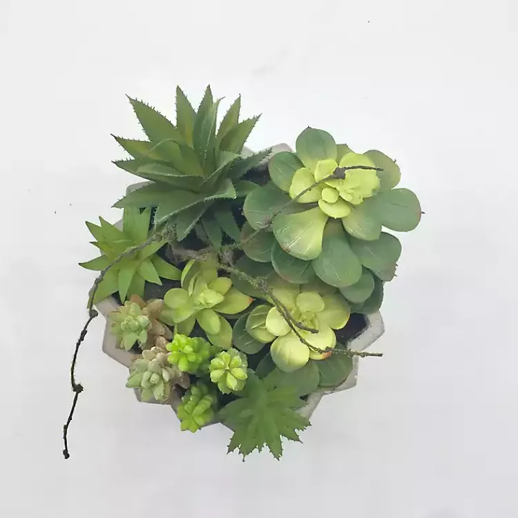 Arrangements & Greenery>Kirklands Home Succulent Arrangement in Zig-Zag Gray Planter