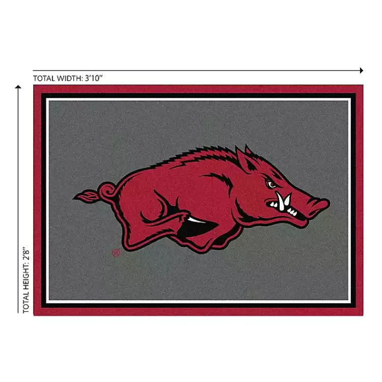 Kirklands Home University of Arkansas Area Rug, 3x4
