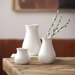 Vases><noscript><img width=