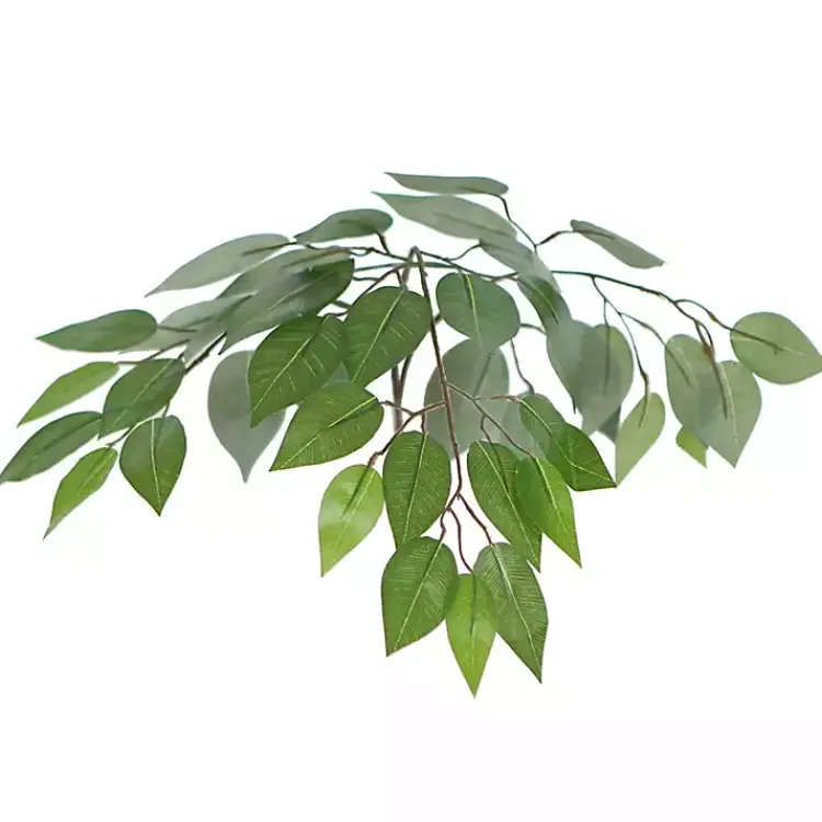 Trees & Topiaries>Kirklands Home Wood Trunk Ficus Bush in Rattan Basket
